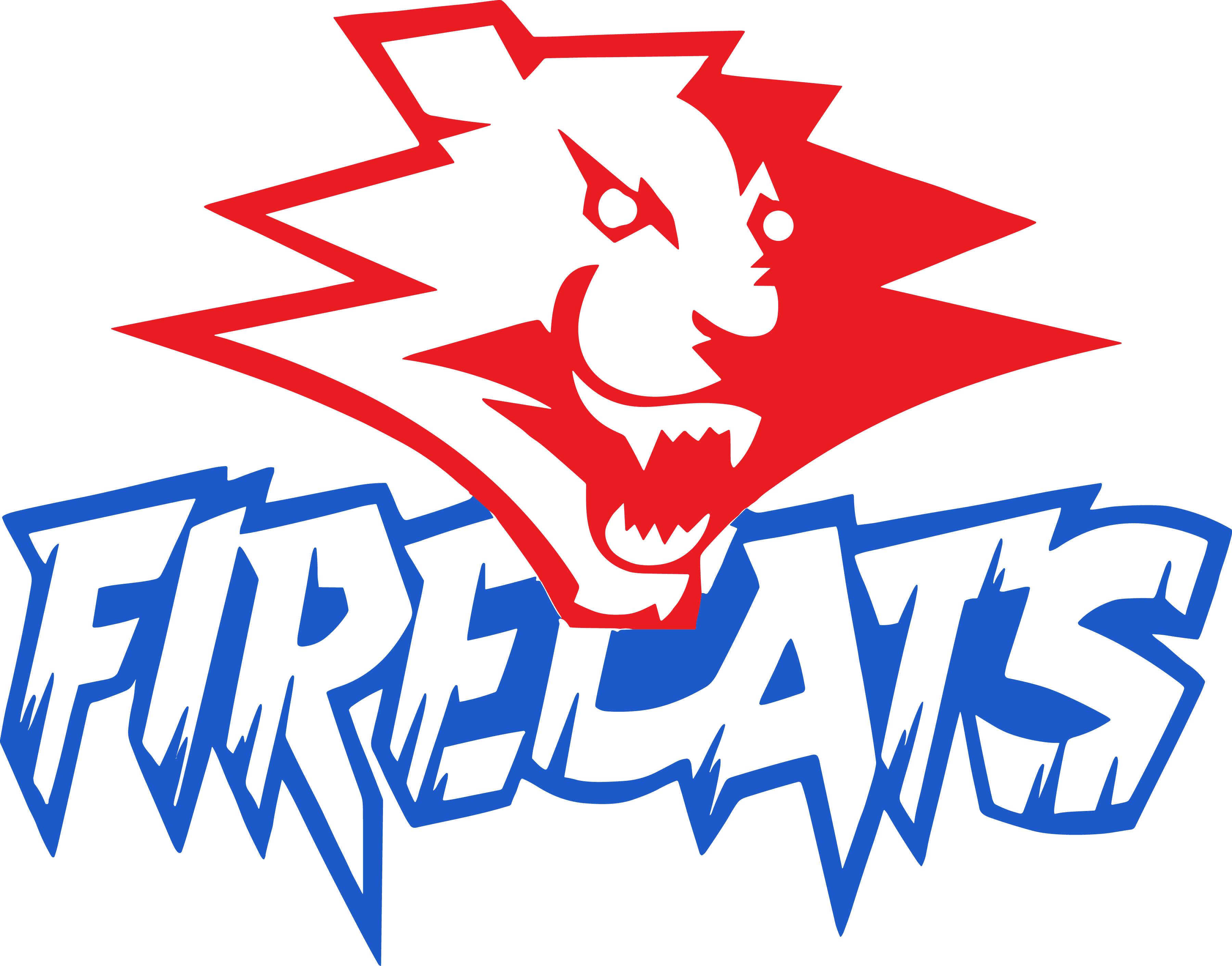 Firecats Football