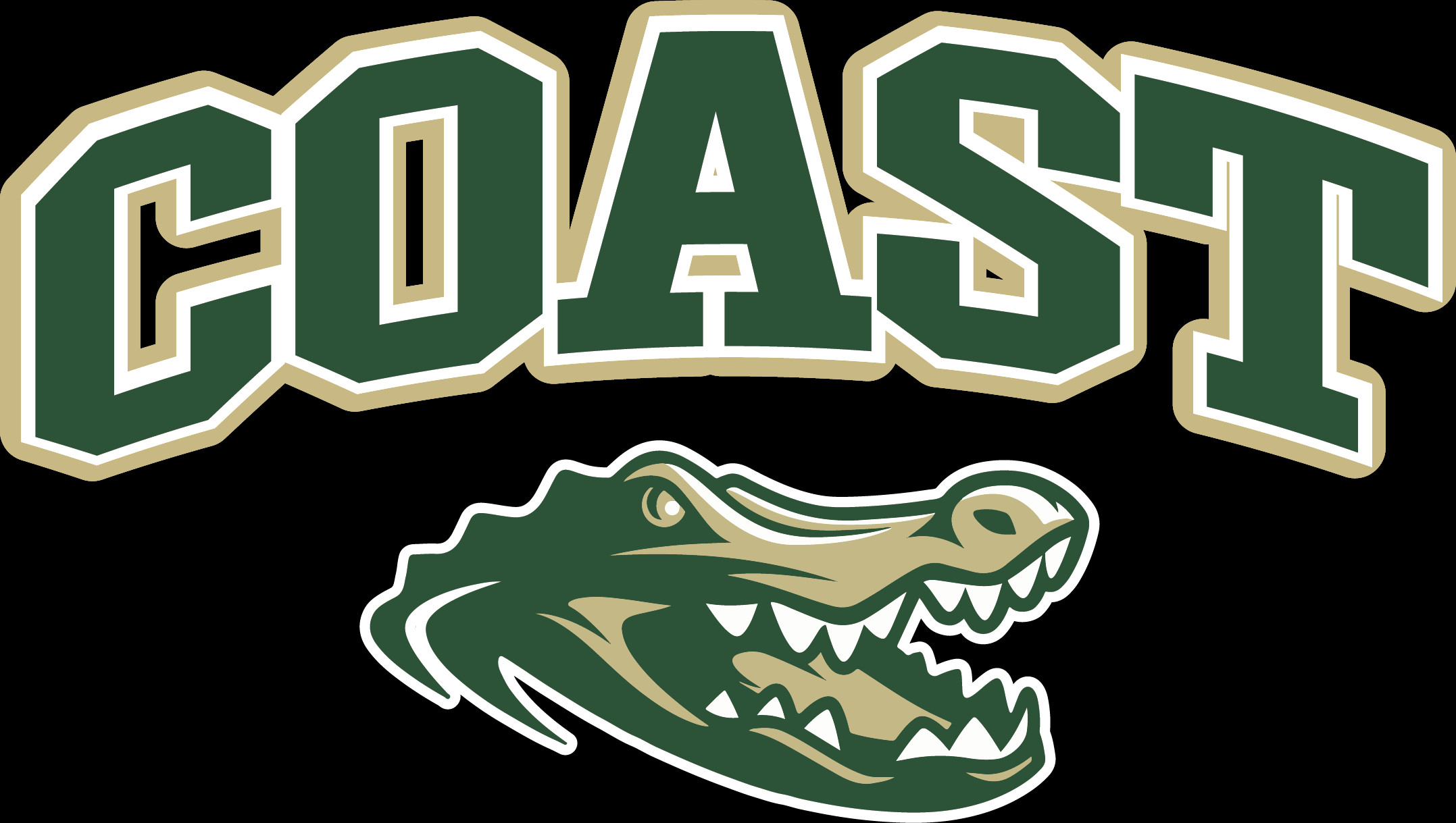 Island Coast Football