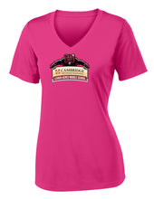 Load image into Gallery viewer, Ladies V-Neck Pink

